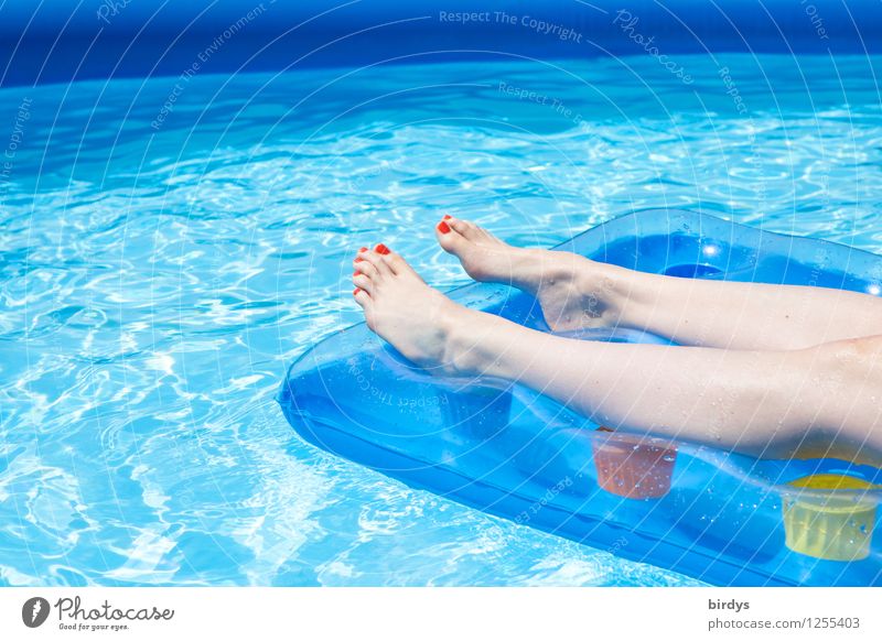 Im Pool Lifestyle Nagellack Wellness Wohlgefühl Erholung Schwimmbad Sommerurlaub feminin Junge Frau Jugendliche Beine 1 Mensch 13-18 Jahre Kind 18-30 Jahre