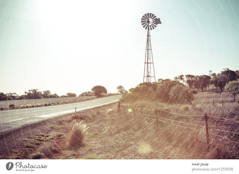 Australien wie im Katalog Ferne Freiheit Sommer Windrad Wasserpumpe Umwelt Natur Landschaft Wolkenloser Himmel Sonnenlicht Feld Steppe Grasland West Australien