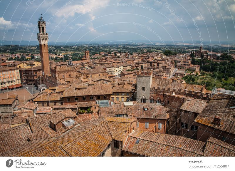 übersichtlich Ferien & Urlaub & Reisen Tourismus Ferne Sightseeing Städtereise Sommerurlaub Himmel Wolken Horizont Siena Toskana Italien Stadt Stadtzentrum