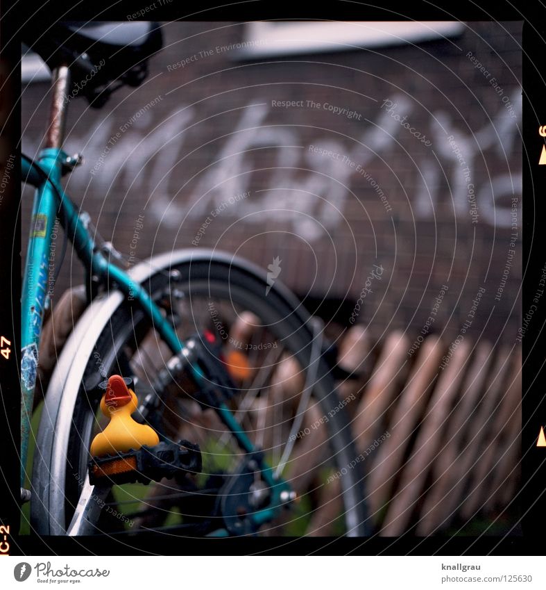 Pedal-Ente Badeente Fahrrad Schutzblech Sonnenbrille Gartenzaun Verkehrsmittel Sicherheit gelb Rücklicht Freizeit & Hobby Spielzeug Vorgarten Straßenverkehr