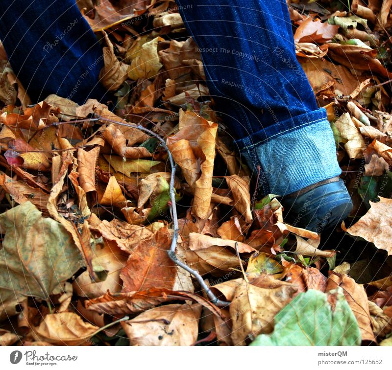 discovery. Herbst Blatt Schuhe entdecken Hose Rascheln Spaziergang gehen Stoff Stimmung Wege & Pfade wandern tief unten flach Waldboden forschen untergehen