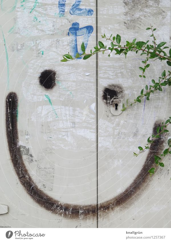 Nett Tier Pflanze Sträucher Verteiler Lächeln Freundlichkeit grau grün schwarz Gefühle Freude Fröhlichkeit Kreativität Stadt Schlüsselloch grinsen Farbfoto