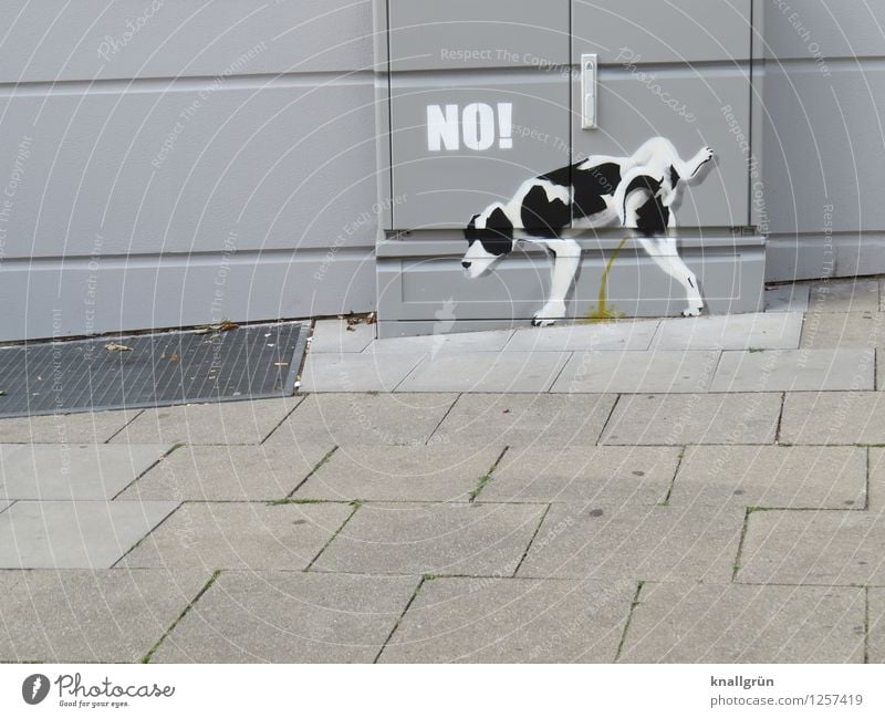 Reviermarkierung Haus Mauer Wand Tier Haustier Hund 1 Verteiler Graffiti machen stehen lustig natürlich Stadt grau schwarz weiß Gefühle Freude Kommunizieren