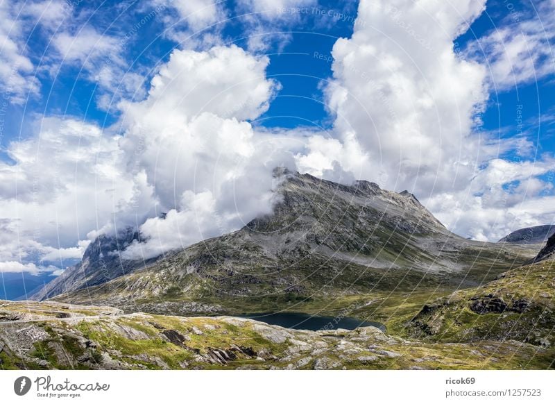Berg Erholung Ferien & Urlaub & Reisen Berge u. Gebirge Natur Landschaft Wolken Idylle Norwegen Møre og Romsdal Reiseziel Himmel Skandinavien Trollstigen