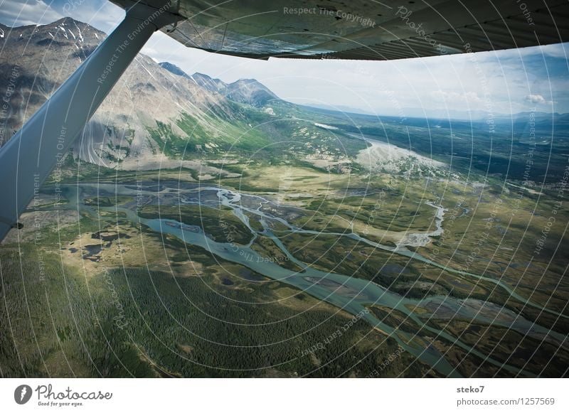 Bärenland Wald Berge u. Gebirge Flussufer Moor Sumpf fliegen Abenteuer entdecken Ferne Tundra Yukon Tragflächenspitze Kleinflugzeug Luftaufnahme