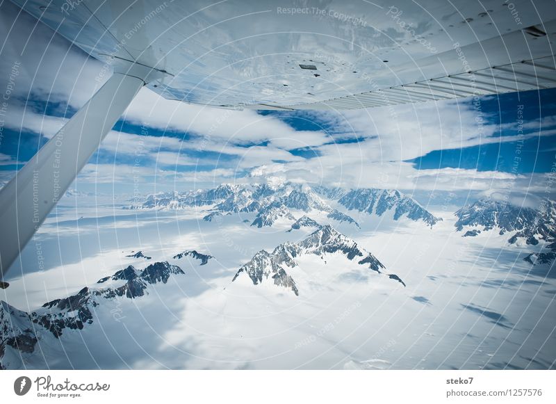 Gletscher-Land IV Berge u. Gebirge Mount Logan Schneebedeckte Gipfel im Flugzeug fliegen gigantisch groß kalt blau weiß Einsamkeit Hoffnung Ferne Yukon