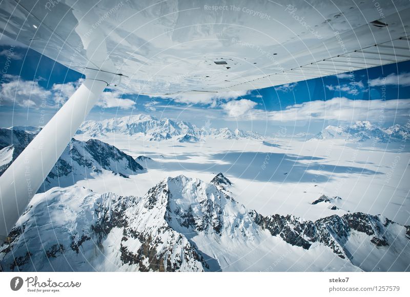 Gletscher-Land II Eis Frost Berge u. Gebirge im Flugzeug fliegen gigantisch Unendlichkeit hoch kalt blau Freiheit Horizont rein Ferne Alaska Eisfeld