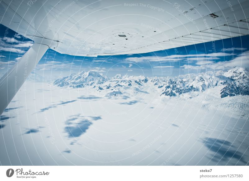 Gletscher-Land Berge u. Gebirge im Flugzeug fliegen gigantisch Unendlichkeit kalt blau weiß Einsamkeit einzigartig Freiheit Alaska Eiszeit Eisfeld Reinheit
