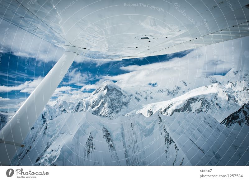 Gletscher-Land VI Berge u. Gebirge Gipfel Schneebedeckte Gipfel im Flugzeug fliegen gigantisch glänzend kalt blau weiß Einsamkeit rein Yukon Kluane Nationalpark