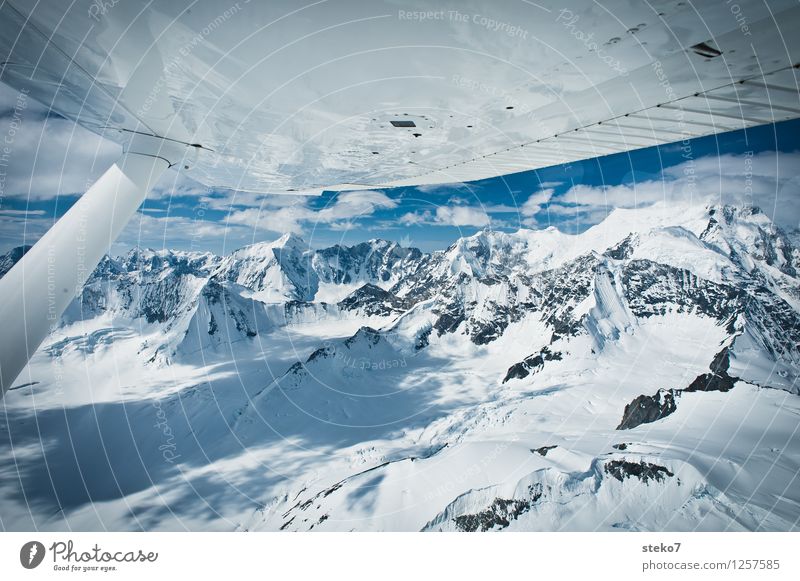Gletscher-Land V Berge u. Gebirge Gipfel Schneebedeckte Gipfel fliegen gigantisch glänzend kalt blau weiß Einsamkeit Ferne unberührt Yukon Kluane Nationalpark