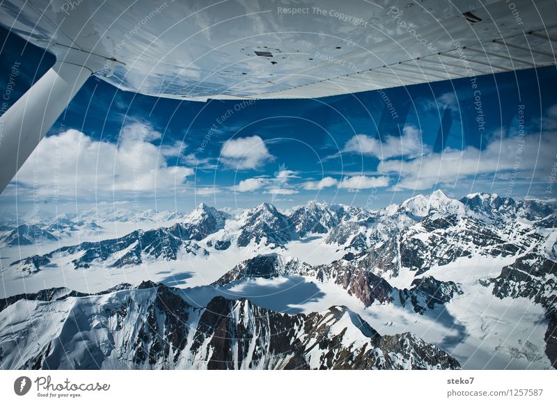 Gletscher-Land IX Berge u. Gebirge Schneebedeckte Gipfel fliegen Ferne frei Unendlichkeit kalt blau weiß Einsamkeit Alaska Tragfläche Luftaufnahme