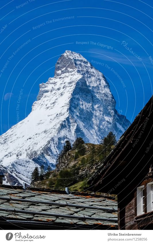 Dachfirst Ferien & Urlaub & Reisen Tourismus Ausflug Freiheit Berge u. Gebirge wandern Umwelt Natur Landschaft Wolkenloser Himmel Baum Felsen Alpen Matterhorn