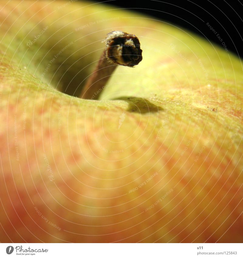 Apple knackig saftig süß rund Gesundheit Vitamin rot gelb grün Makroaufnahme Nahaufnahme Frucht Wut Glätte Apfel Stengel Natur