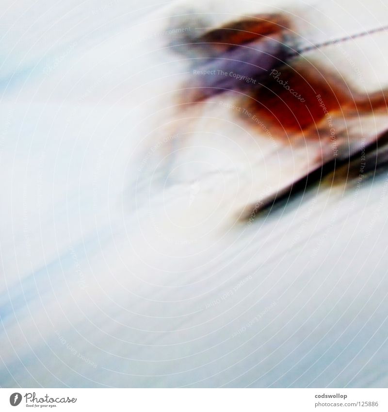 ski sunday Skier Skifahrer Abfahrtsrennen Konzentration Wintersport Sportveranstaltung Konkurrenz Geschwindigkeit blur race Schnee downhill Bewegung umnebelt