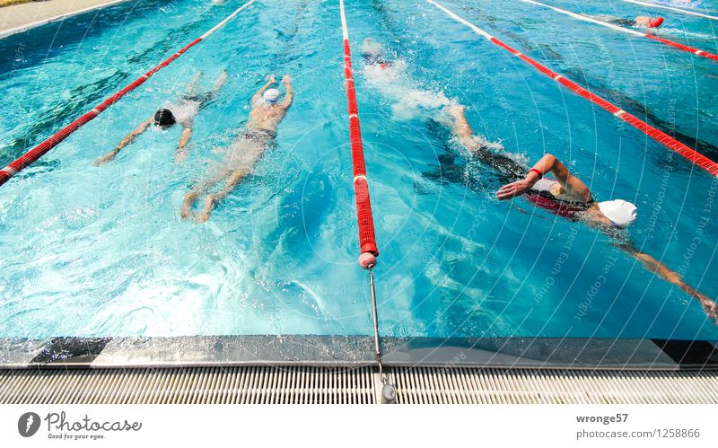 Hitzefrei Sport Sportveranstaltung Triathlon Schwimmsport Schwimmen & Baden Schwimmbad Mensch maskulin 5 Menschengruppe nass sportlich blau grau rot weiß