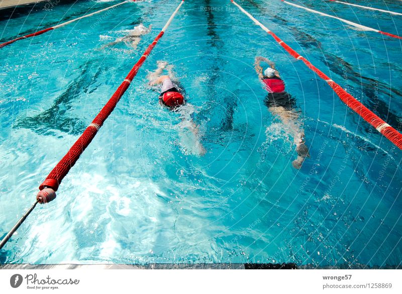 Gegenverkehr Sport Wassersport Sportler Sportveranstaltung Triathlon Schwimmsport Schwimmen & Baden Schwimmbad Mensch maskulin 3 Menschengruppe Fitness