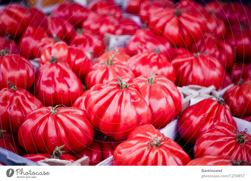 Ochsenherzen Lebensmittel Gemüse Ernährung Bioprodukte Vegetarische Ernährung Italienische Küche frisch Gesundheit lecker rot Ochsenherztomaten Tomate Markt