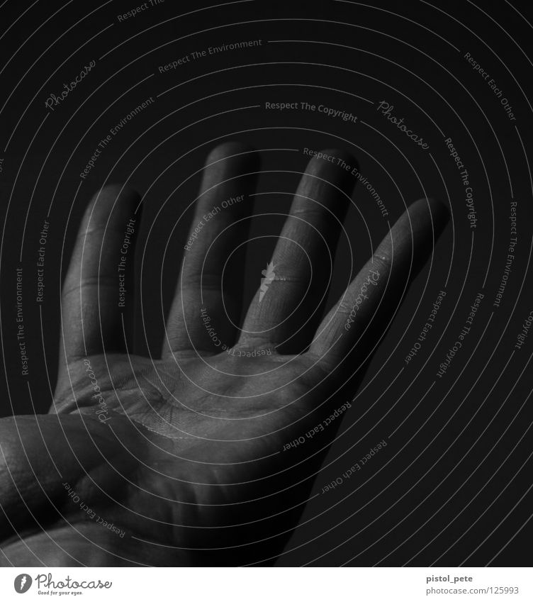 nur vier von fünf Hand Finger Fingerabdruck 4 Schwarzweißfoto Körperteile Haut Falte