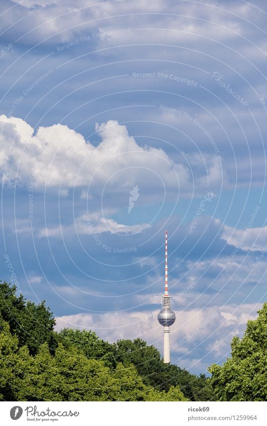 Berliner Fernsehturm Ferien & Urlaub & Reisen Tourismus Wolken Baum Stadt Hauptstadt Stadtzentrum Bauwerk Architektur Sehenswürdigkeit Wahrzeichen blau grün