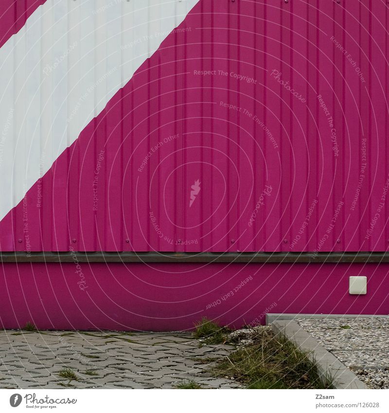 quadratisch, grafisch ....... Quadrat graphisch Linie rosa magenta weiß Wiese grün Steckdose Bordsteinkante einfach Stil Architektur Dinge Lamelle