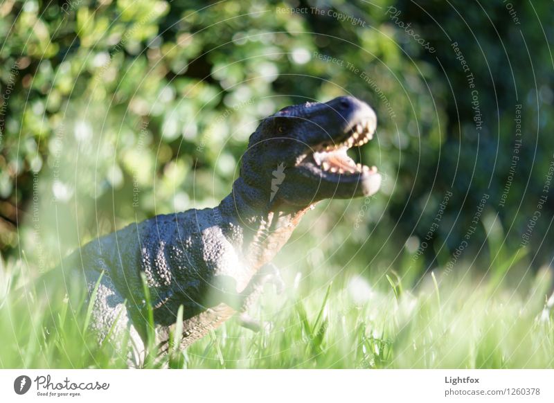 Tyrannosaurus Ex-Freundin Labor Unternehmen Erfolg Uhr Menschenleer Sehenswürdigkeit Tier Wildtier Totes Tier Zoo 1 Fressen füttern Jagd kämpfen schreien grün