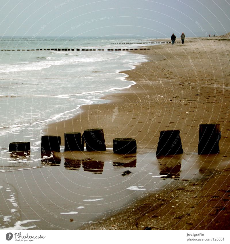 Strand Meer 2 wandern Spaziergang ruhig leer Kühlung Ferien & Urlaub & Reisen kalt grau trist Holz Buhne nass grün Horizont salzig Reflexion & Spiegelung Prerow