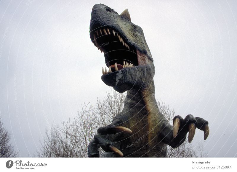 Großes Monster Dinosaurier Echsen Tier gefährlich Krallen Tierfigur drohen ausgestorben bedrohlich Tyrannosaurus Rex Maul Himmel Angst beißen Gebiss Urtier