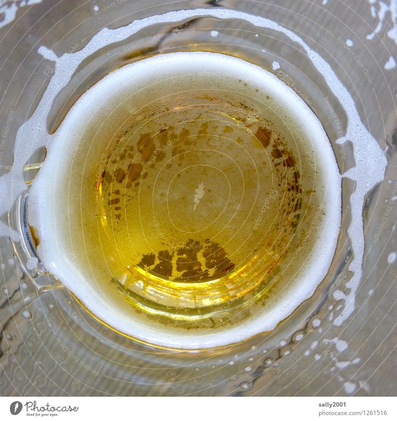 tief ins Glas blicken... Getränk Erfrischungsgetränk Alkohol Bier Becher Erholung genießen trinken Flüssigkeit Gesundheit kalt gelb gold Durst Alkoholsucht