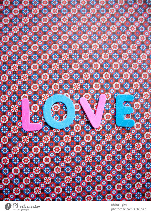 love Leben Liebe blau rosa Gefühle Stimmung Verliebtheit Liebeserklärung Liebesbrief Liebesbeziehung Paar Liebesgruß Liebling Liebesbekundung Liebesleben
