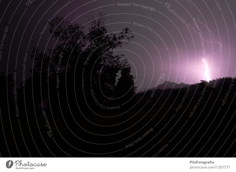 Erst kommt der Blitz Gewitter Blitze Baum Wald Berge u. Gebirge Gipfel violett schwarz Endzeitstimmung bedrohlich Farbfoto Außenaufnahme Menschenleer