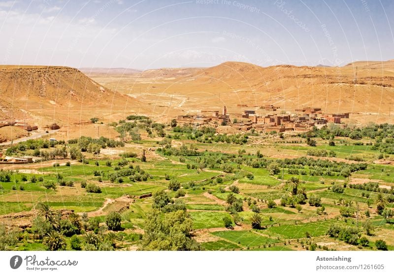 grüne Wüste Umwelt Natur Landschaft Himmel Wolken Horizont Sommer Wetter Schönes Wetter Dürre Pflanze Baum Wiese Hügel Schlucht Oase Ait Benhaddou Marokko