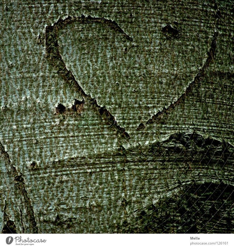 unvollendet Baum Baumrinde Furche verewigt Symbole & Metaphern Partnerschaft Paar Ehe Freundschaft Hälfte Liebe Graffiti Wandmalereien Herz Baumstamm Baumherz
