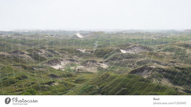 Dünen Natur Landschaft Urelemente Sand Himmel Sommer Hügel Küste Nordsee Insel Norderney Ostfriesische Inseln Dünengras wild grün ruhig Fernweh Dunst Stranddüne