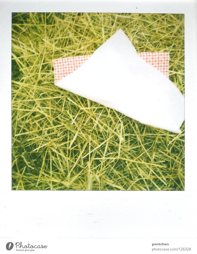 Polaroid zeigt rot-weiße Serviette im stroh Farbfoto Muster Textfreiraum unten Erholung Ausflug Sommer Wind Sturm Papier gelb grün Stroh Schilfrohr Amerika