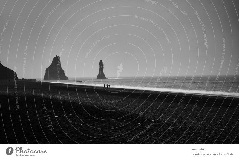 Vik Natur Landschaft Küste Strand Bucht Meer Insel Stimmung dunkel Island Reisefotografie schwarz Nebel Wetter Mensch grau Schwarzweißfoto Außenaufnahme Tag