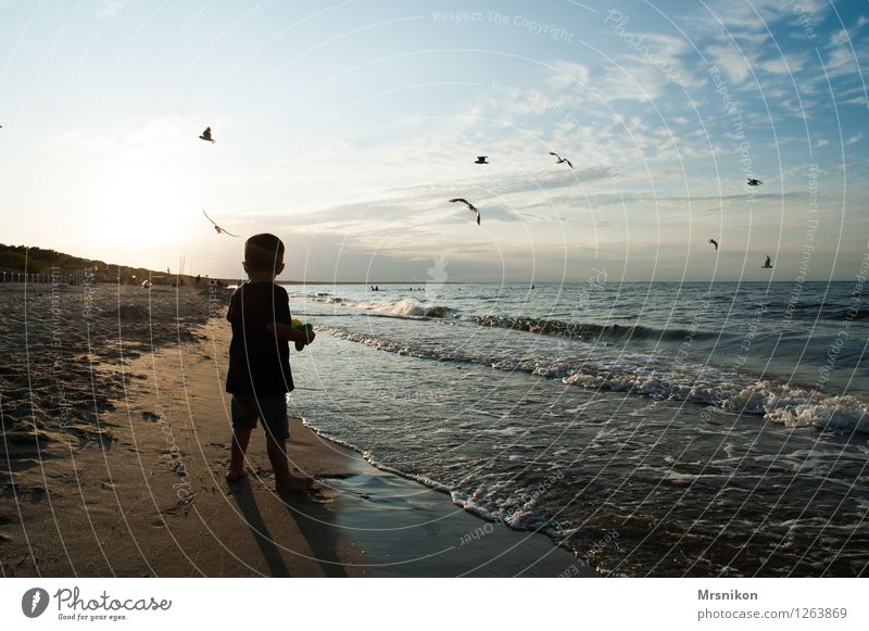 Der kleine Junge und das Meer Ferien & Urlaub & Reisen Abenteuer Ferne Sommerurlaub Strand Wellen Mensch Kind Kindheit 1 3-8 Jahre füttern Blick werfen Neugier
