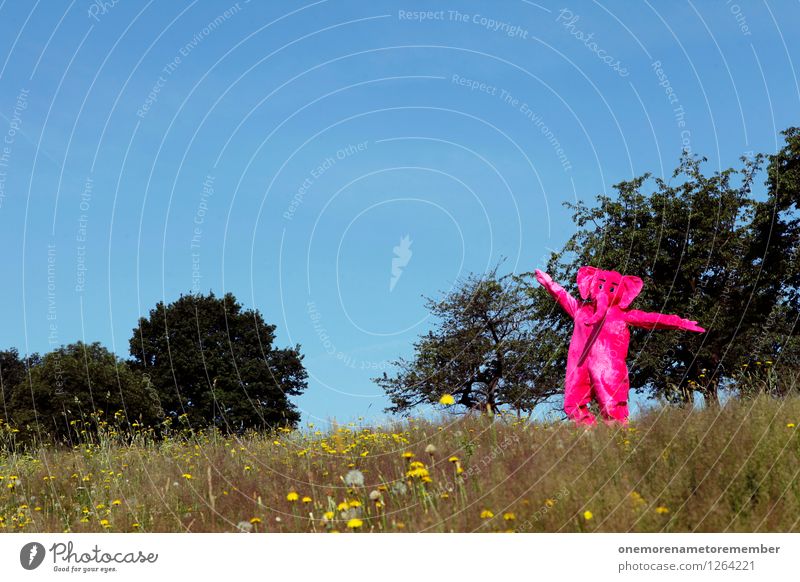 Happy Kunst Kunstwerk ästhetisch Elefant Tier Eyecatcher rosa Farbfleck Wiese Wiesenblume Natur Freude spaßig Spaßvogel Spaßgesellschaft Tanzen Glück