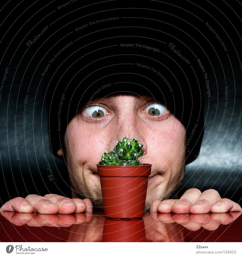 wachs doch!!!!!!!!! Wachstum Blick Mütze schwarz Bart Kaktus Mann Pflanze rot Selbstportrait Tisch verkehrt lustig verrückt Lücke glänzend dunkel Hand Finger