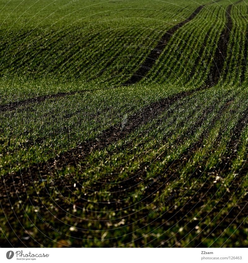 agrarkunst || Landwirtschaft Feld Wiese 2 Wellen graphisch schwarz dunkel Quadrat Reifenspuren parallel argrar Spuren Wege & Pfade Bogen Linie reduzieren
