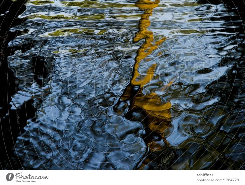 Spreedorado | Wasserzeichen Fluss blau braun schwarz Wasseroberfläche Wasserspiegelung Reflexion & Spiegelung Strukturen & Formen Spreewald Dahme-Spreewald