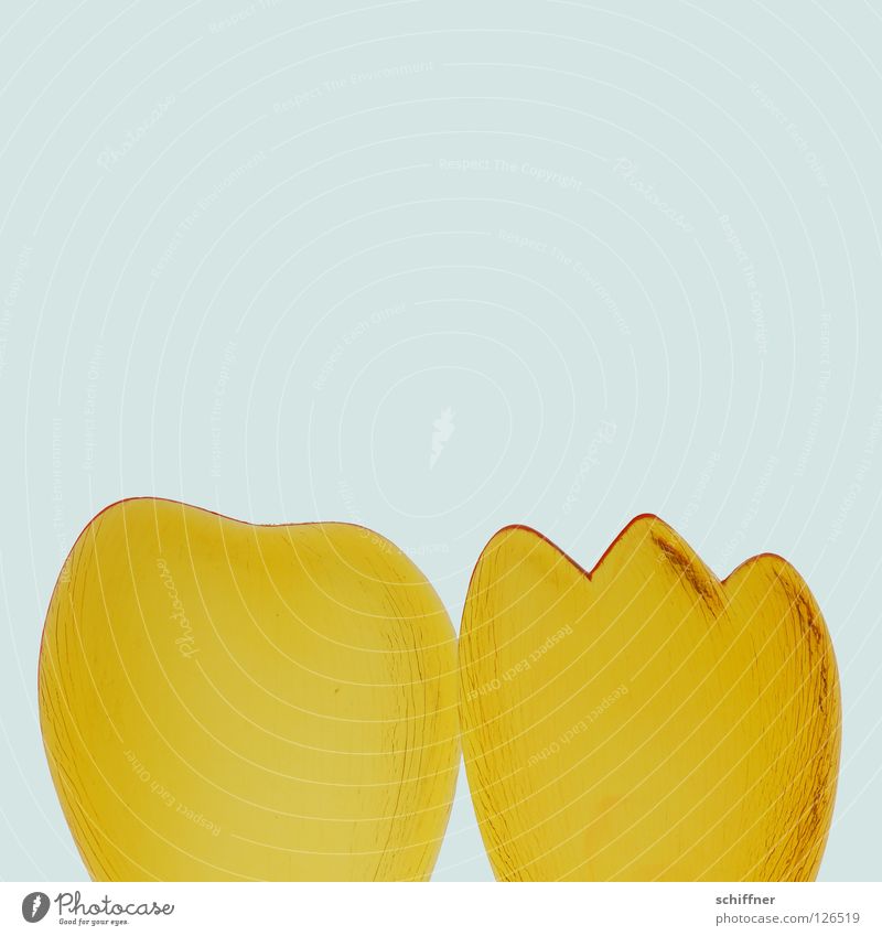 Donald Ducks Klumpfuß Zehen gelb rund eckig Zacken Gegenteil Verschiedenheit Ostern Frühling Vogelperspektive Salatbesteck Fuß Entenfüße Sonnengelb