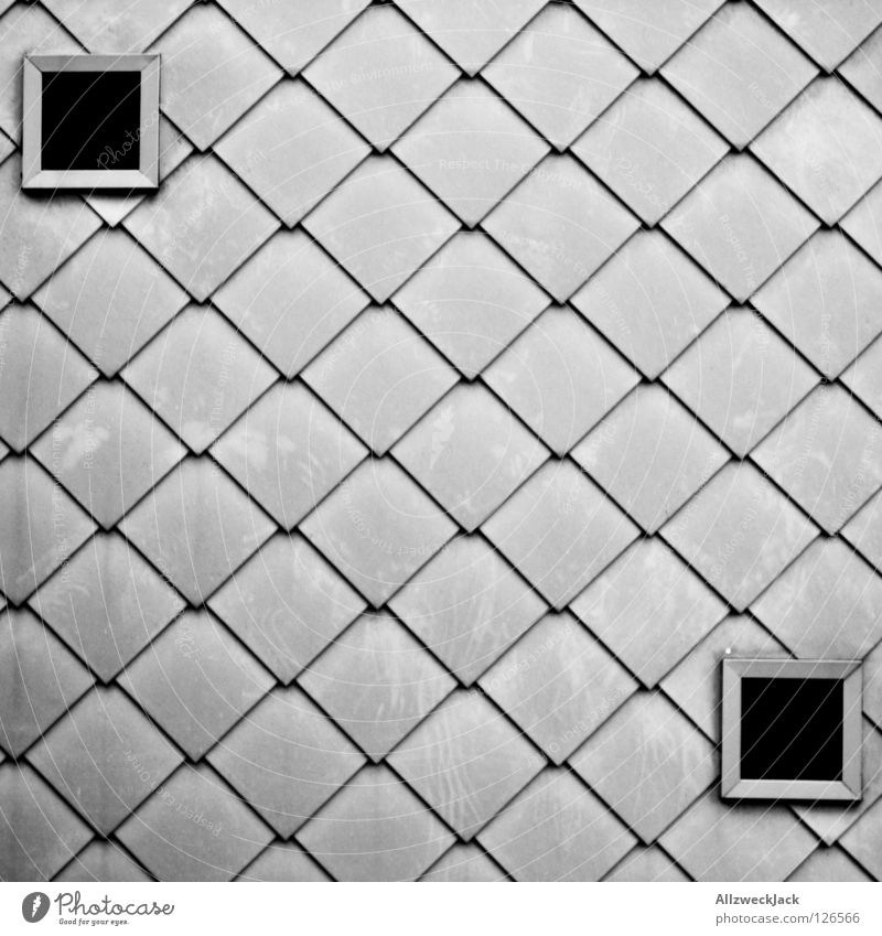 symmetria Wand Fassade Fassadenverkleidung Gebäude grau silber Fenster Quadrat Luke Haus Design Symmetrie Detailaufnahme Architektur Maske gebäudehülle