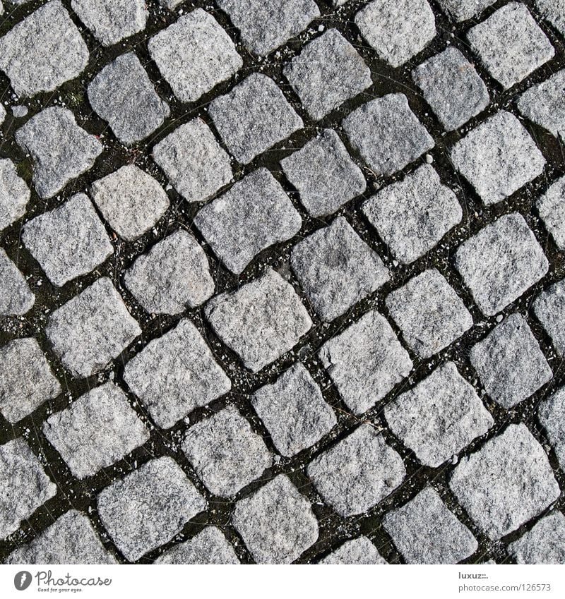 Stein um Stein Kopfsteinpflaster Parkplatz diagonal Strukturen & Formen Quadrat grau Granit hart Naturstein Fußgängerzone Rauchen verboten Mosaik verlegen