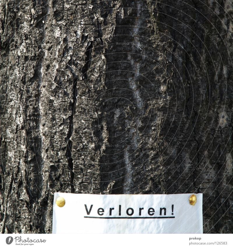 Viel Glück verloren Baum gesucht Zettel finden verlieren Baumrinde Einsamkeit Reißzwecken Anschlag Sammlung Wort Buchstaben Ausrufezeichen Text Papier
