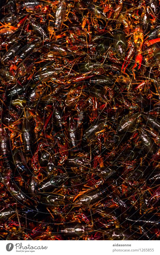 Krabben Tier Schwarm Platzangst Stress Völlerei Krabbenkutter viele Massentierhaltung Lebensmittel Meeresfrüchte China Farbfoto Außenaufnahme Tag