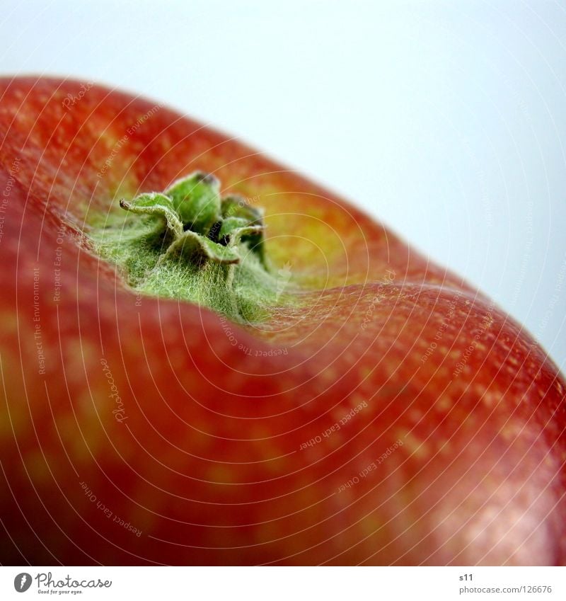 Apple IV Frucht Apfel Ernährung Haut Gesundheit Natur rund saftig süß Wut gelb grün rot knackig Vitamin Fruchtzucker Zucker Apfelbaum Stern (Symbol) Glätte