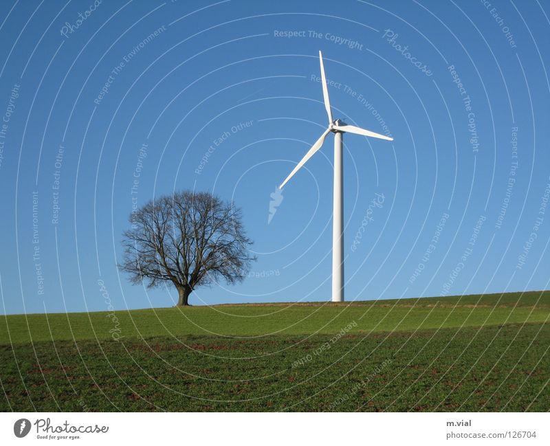 David und Goliath Baum Windkraftanlage Himmel Wiese Feld Natur Landschaft Elektrizität grün weiß blau