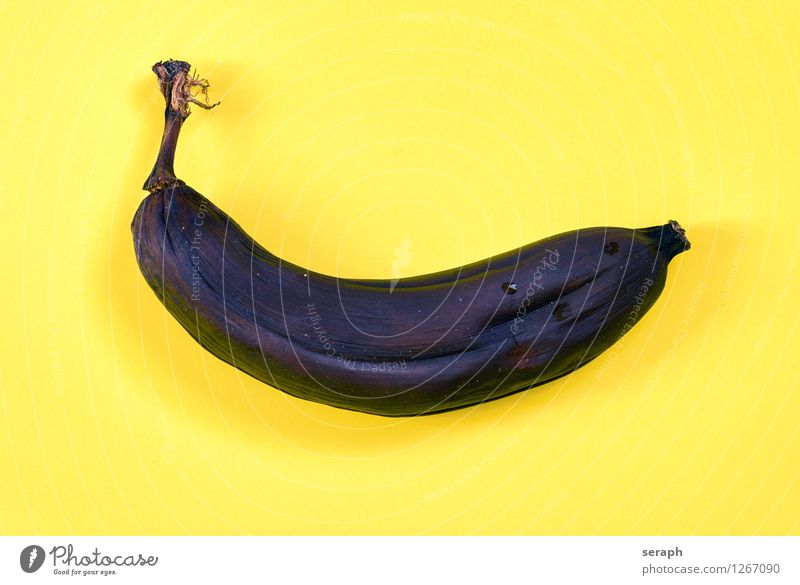 … Foul fuzzy organisch roh ripe rotten abgestanden Hintergrundbild Entwurf Detailaufnahme Makroaufnahme Lebensmittel Foodfotografie Banane Frucht Speiserest