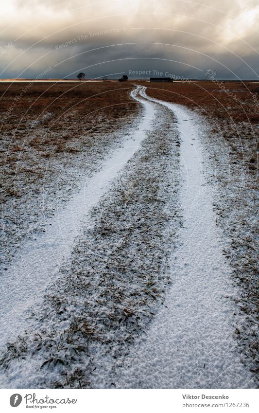 Weiße Straße unter dem Schnee auf einem Gebiet Ferien & Urlaub & Reisen Winter Natur Landschaft Himmel Wolken Horizont Baum Wege & Pfade unten blau grau weiß