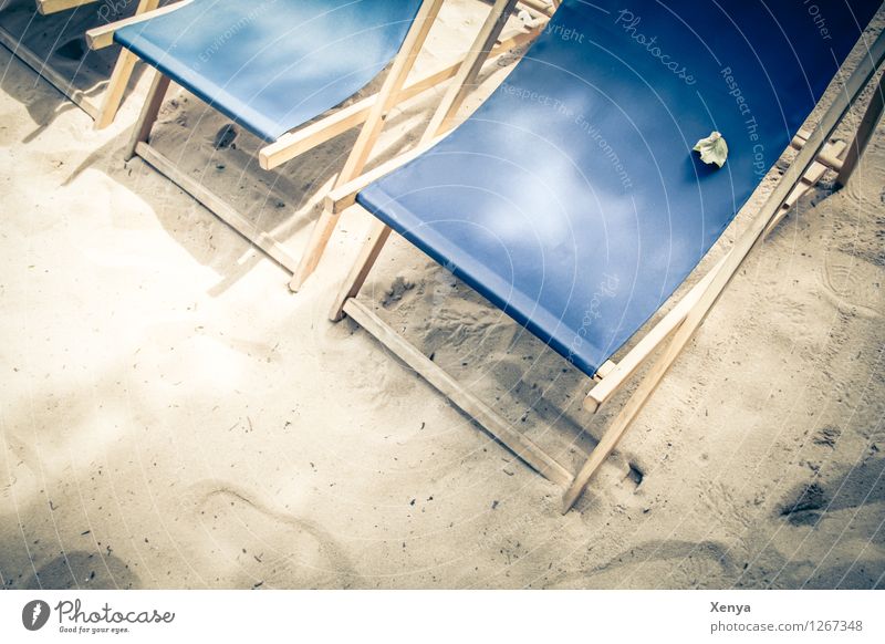 Strandliegen Ferien & Urlaub & Reisen Sommer Sommerurlaub Sonnenbad blau Sand Sandstrand Liegestuhl Sitzgelegenheit Freizeit & Hobby Außenaufnahme Menschenleer